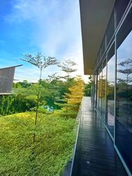 Cove Way (D4), Detached #580204811